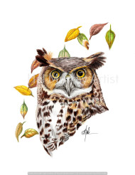 056 Great Horned Owl