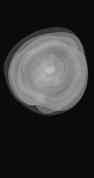 1749647829835