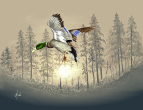 218 Mallard Flight