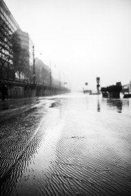 After the flood