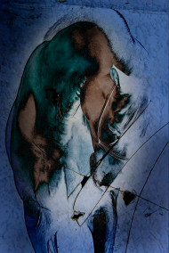 agosto 2025 caballo