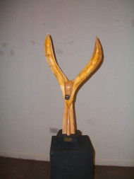 Aguilucho