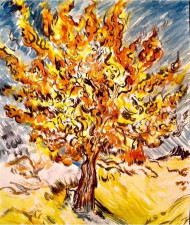 Árbol Morera.