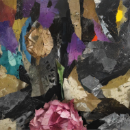Cave flowers