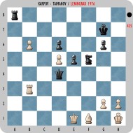 chess position