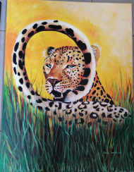 Curious Leopard
