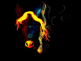 H   horse by Dom Jú (11)