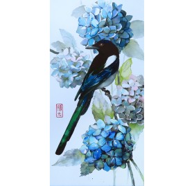Hydrangea