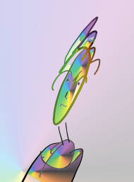 Image 20250419 1512