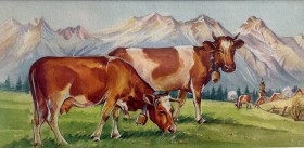IMG 0088