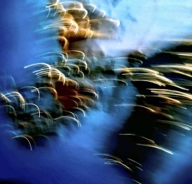 IMG 20250302 125600~4
