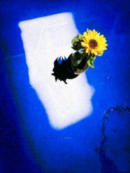 light is life © Quetzalyis Van Luft