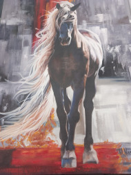 Long haired Horse