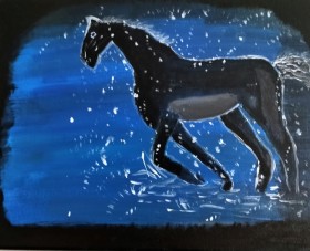 Midnight Gallop