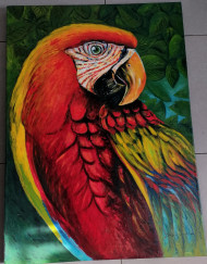 Mr Parrot