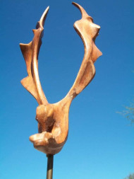 Pajarito I