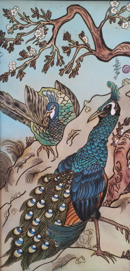 Pavão Oriental Tradicional