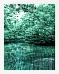 verde just like forest © Quetzalyis Van Luft