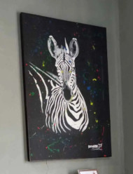 Zebra Splash