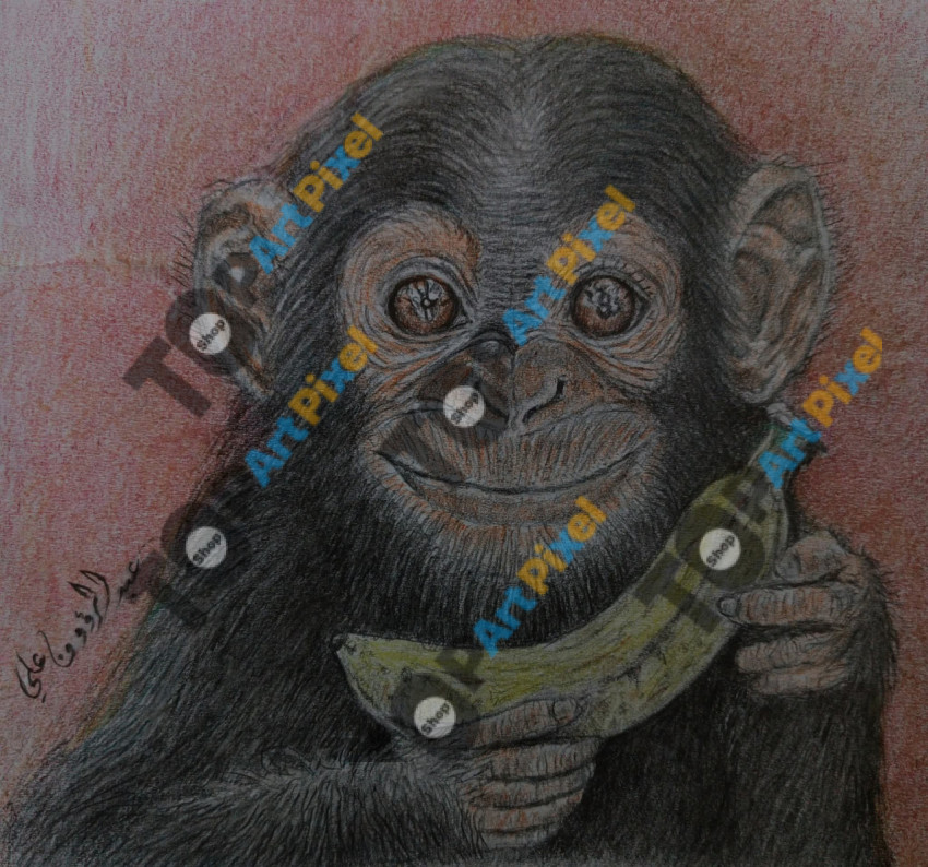 FB IMG 1755412956099