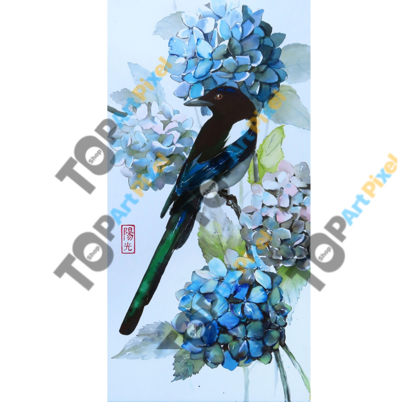 Hydrangea