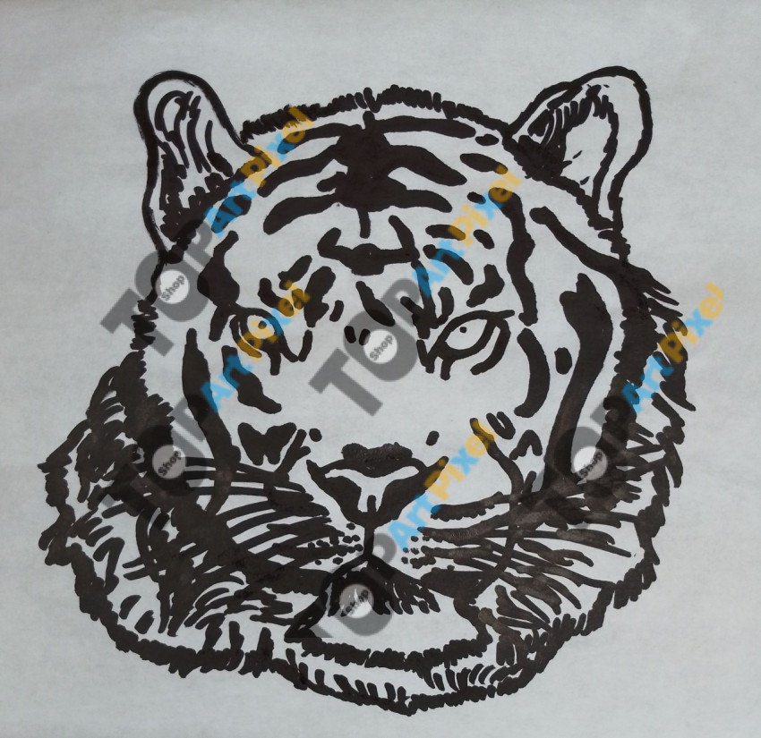 IMG 20240816 083938 023~2