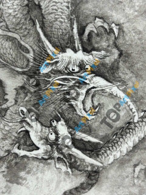 Dragon1