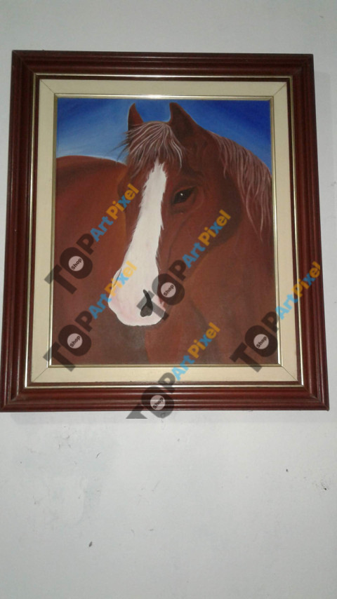 8e2b6d77 7e58 449f 9c05 521424550170 1 all 6183