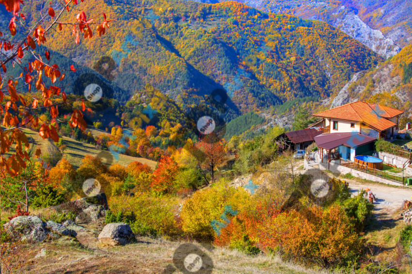 Autumn in the Rhodope Mountains