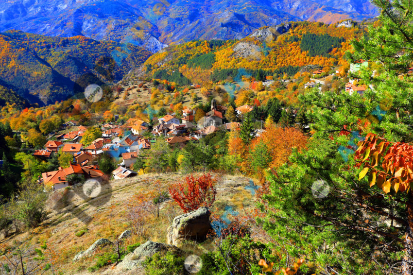 Autumn in the Rhodope Mountains 1
