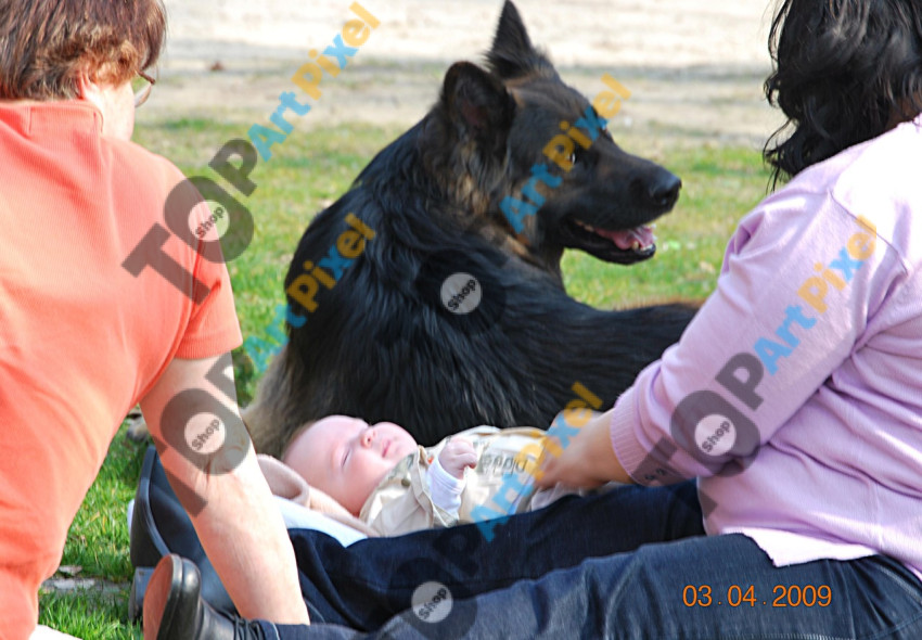 bodyguard