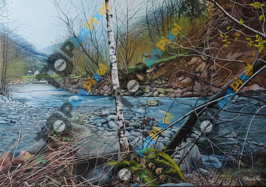 518962531 1779871132904206 5933422395265861353 n