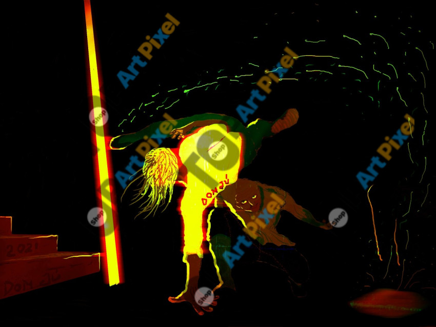 Capoeira Dom Jú