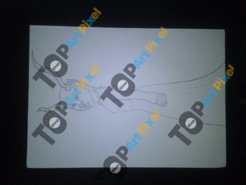 IMG 2025 02 05 11 10 26 721