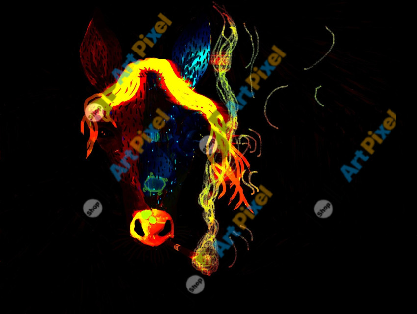 H   horse by Dom Jú (11)