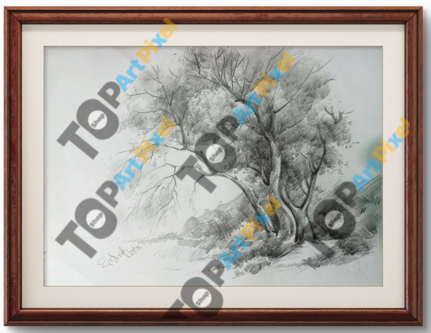 bc93a560 6b6f 11f0 ab66 25dbb92f3c26