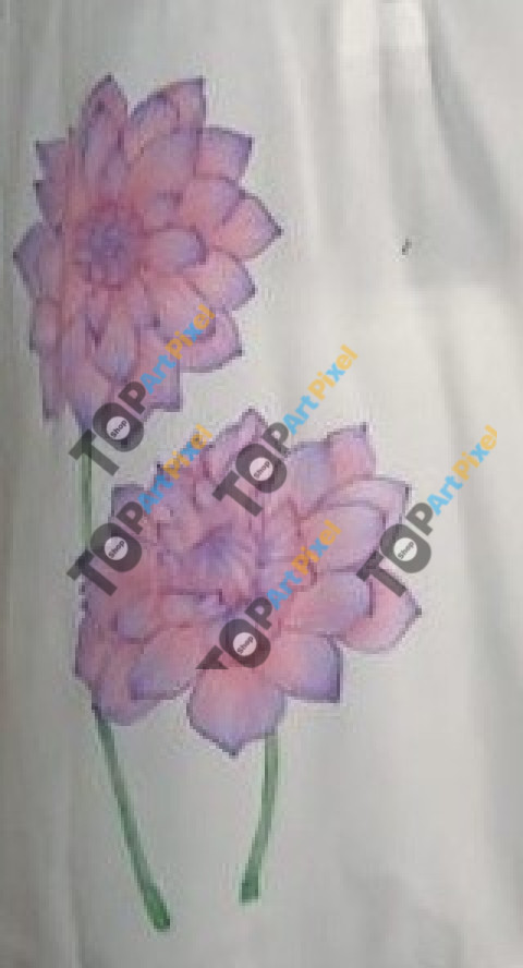 IMG 20241105 WA0070