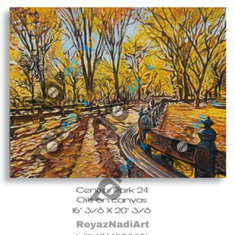 Central Park24