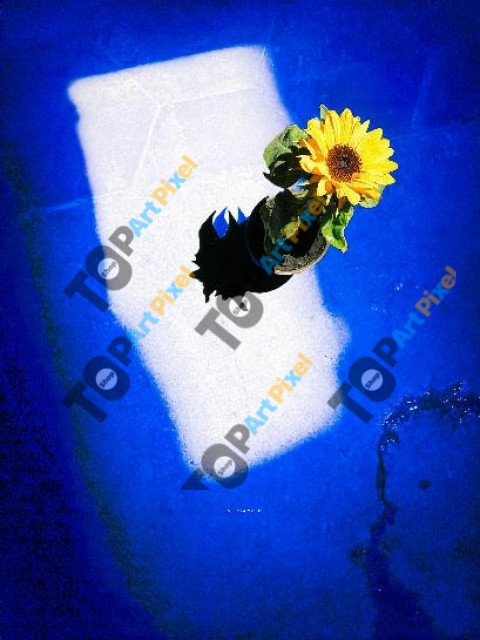 light is life © Quetzalyis Van Luft