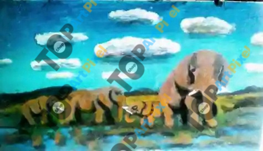 Elephants