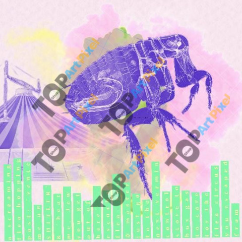 flea circus © Quetzalyis Van Luft