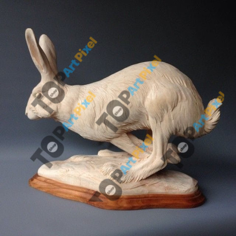 inbound9222614398348469273