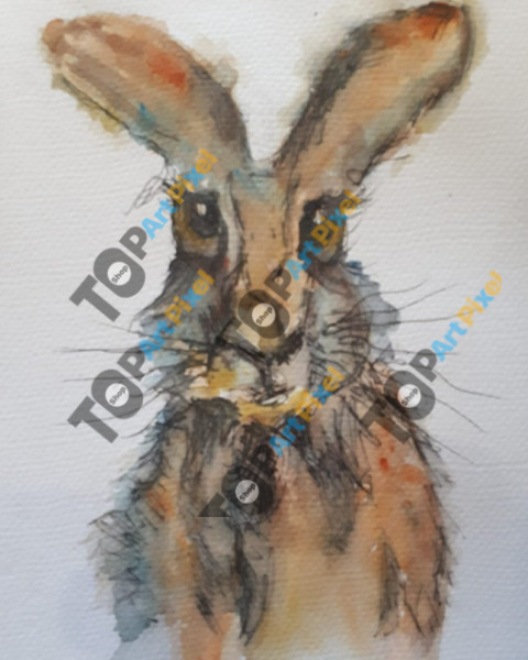 hare