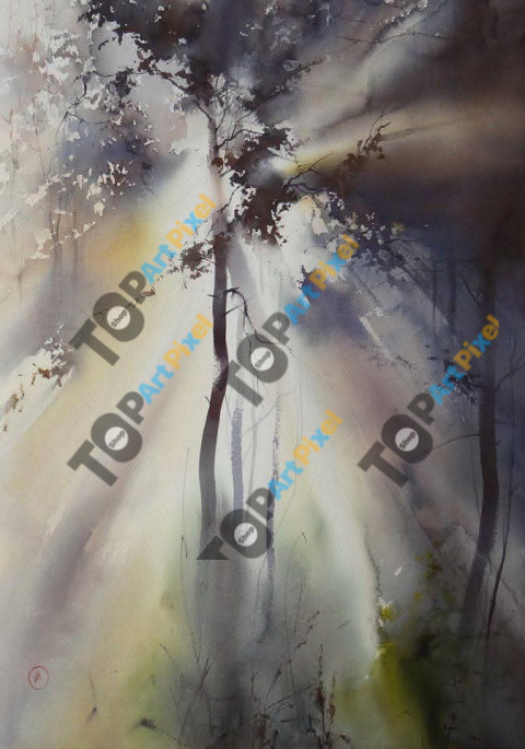 inbound2067569183821312980