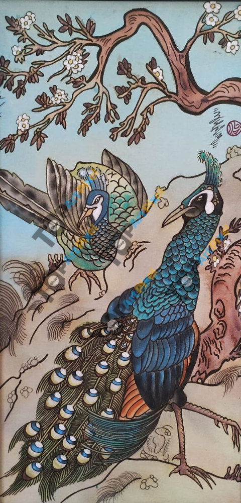 Pavão Oriental Tradicional