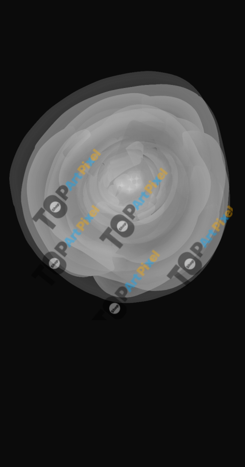 1749647829835