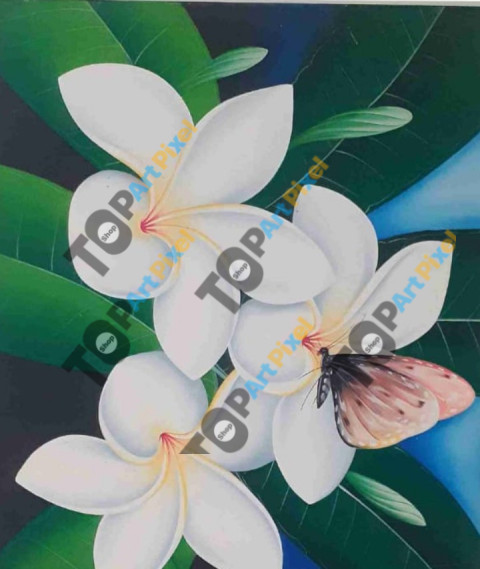 Kupu kupu yang hinggap di bunga kamboja