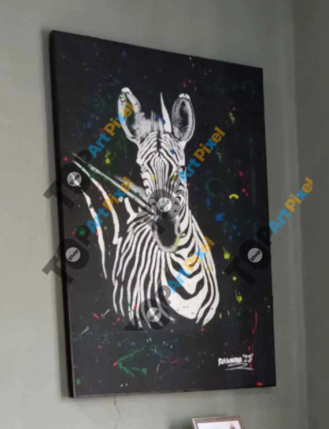 Zebra Splash