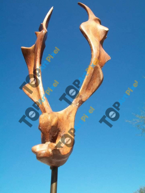 Pajarito I