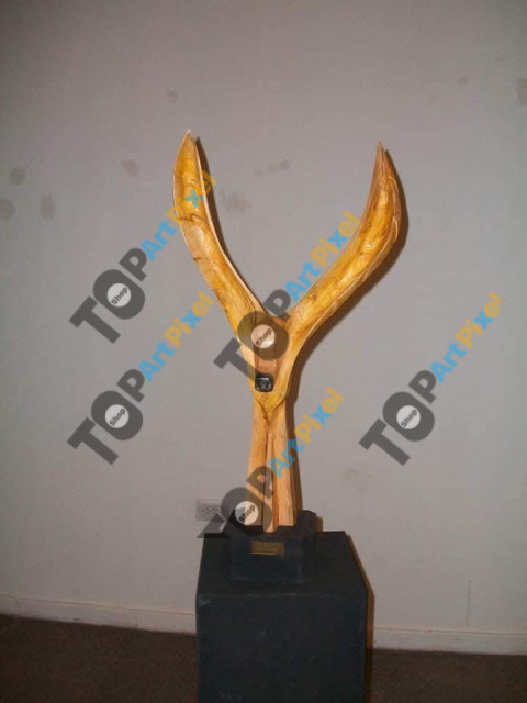 Aguilucho